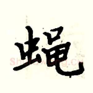 蝇