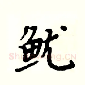 鱿