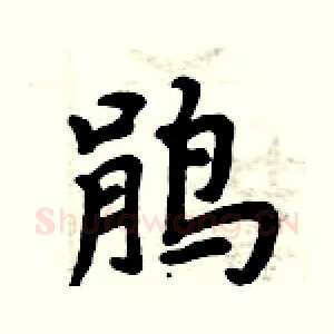 鹃