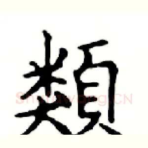 類