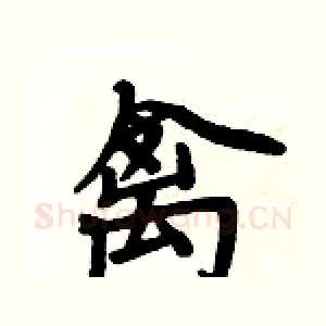 禽