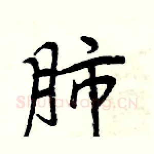 肺