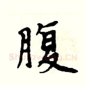 腹