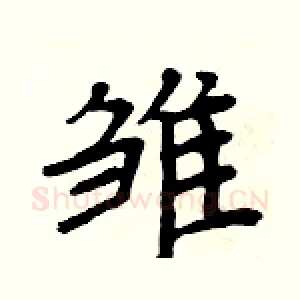 雏