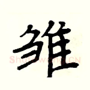 雏