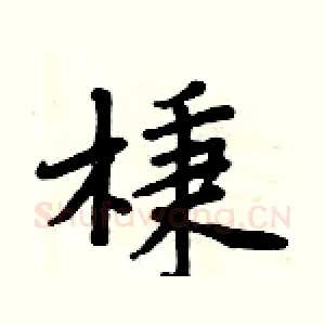 棅