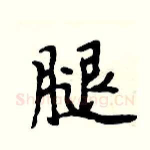 腿