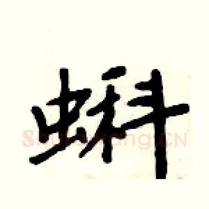 蝌