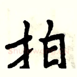 拍