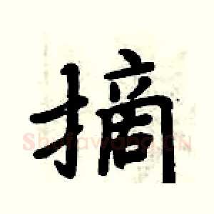 摘