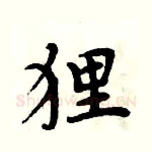 狸