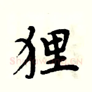 狸