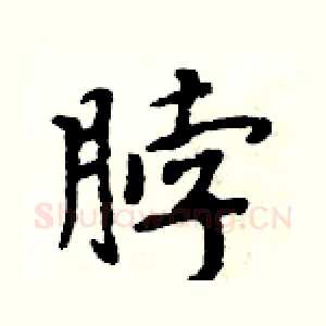 脖