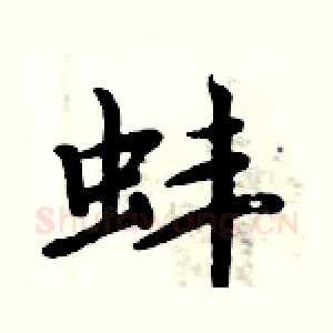 蚌