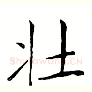 壮