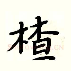 楂