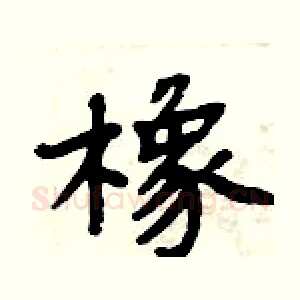 橡