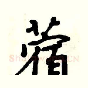 蓿