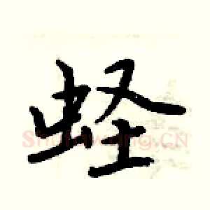 蛏