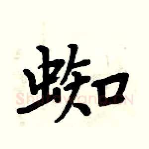 蜘