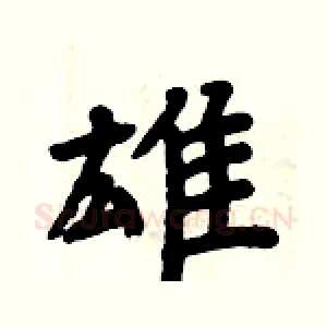 雄