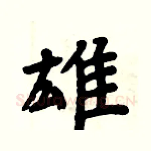 雄