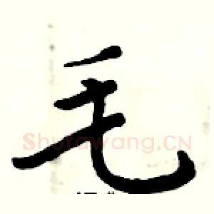 毛