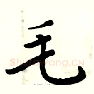 毛