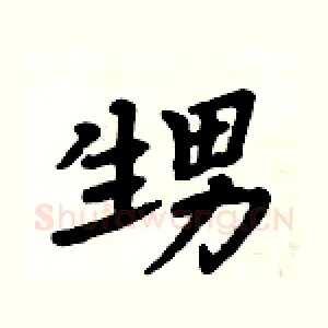 甥