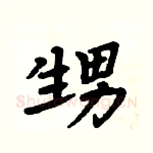 甥