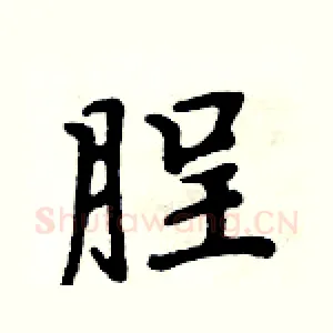 脭