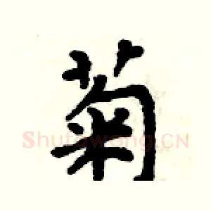 菊