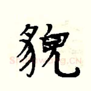 貌