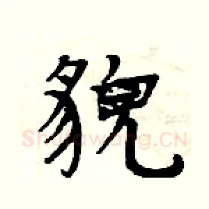 貌