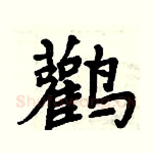 鸛