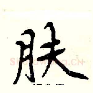 肤