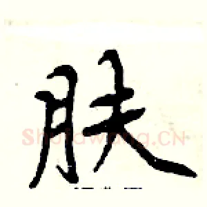 肤