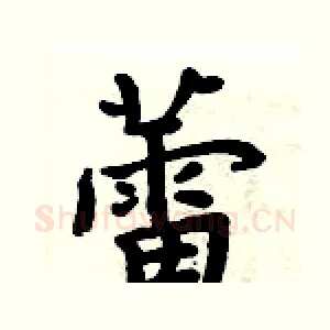 蕾