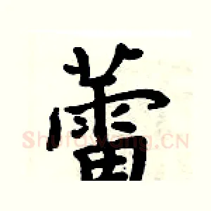 蕾