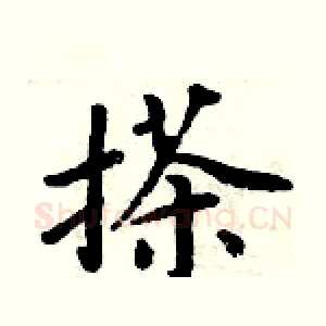 搽