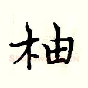 柚