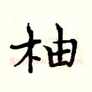柚
