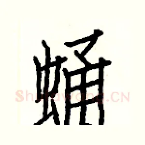 蛹