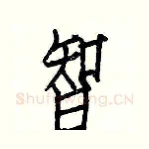 智