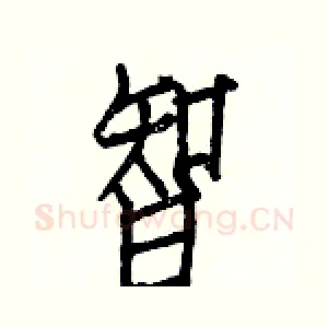 智