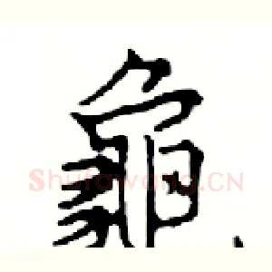 龜