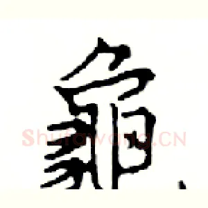 龜