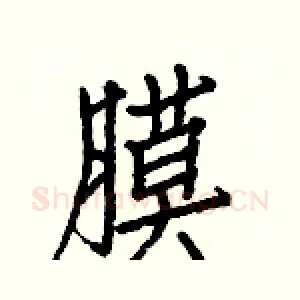 膜