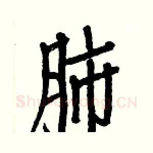 肺