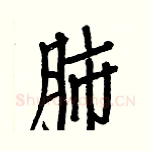 肺